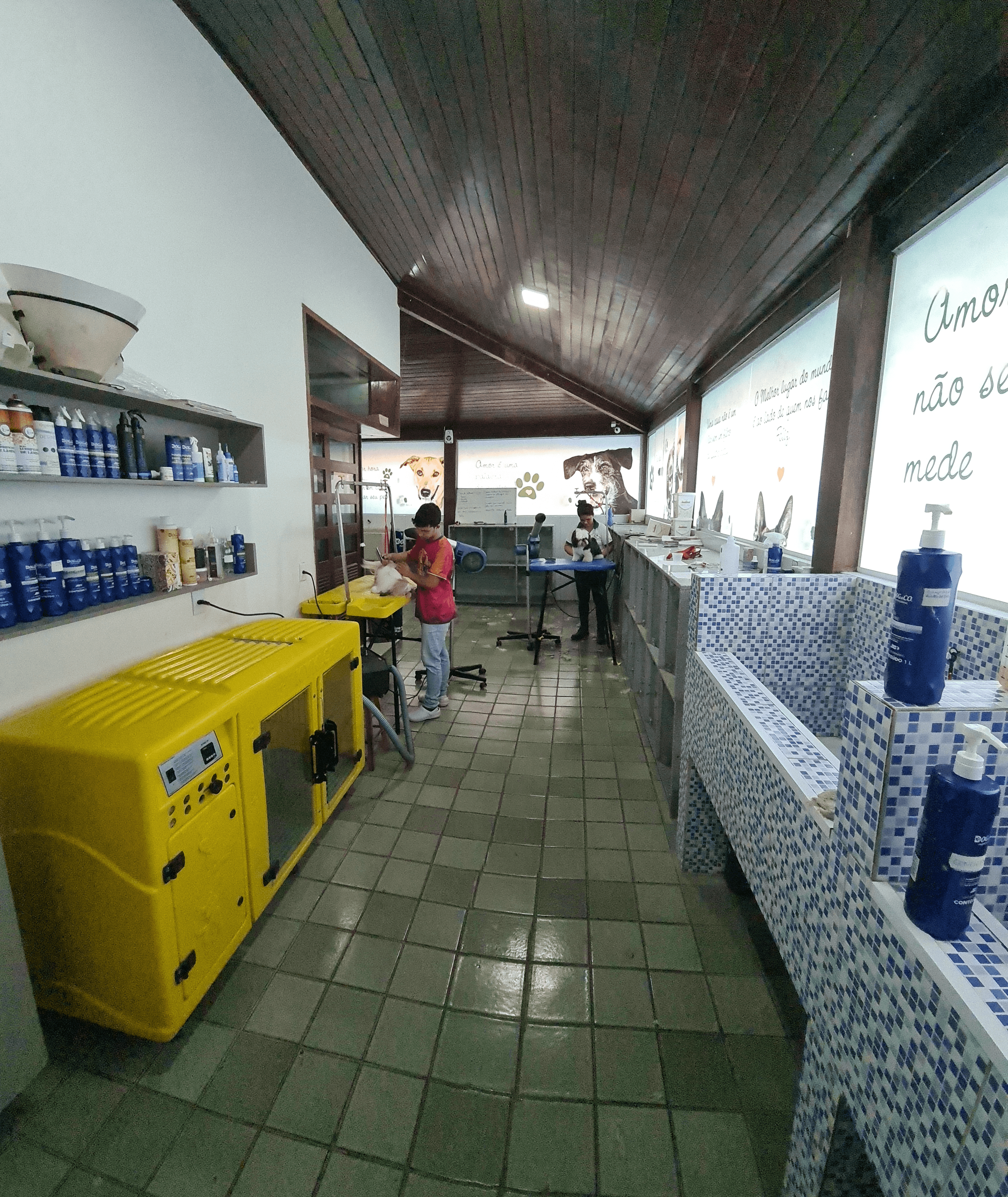 Foto da Galeria